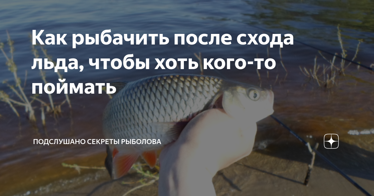 как будет на английском рыбачить