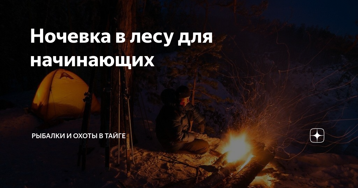 Ночевка в лесу для начинающих | Таёжник | Дзен