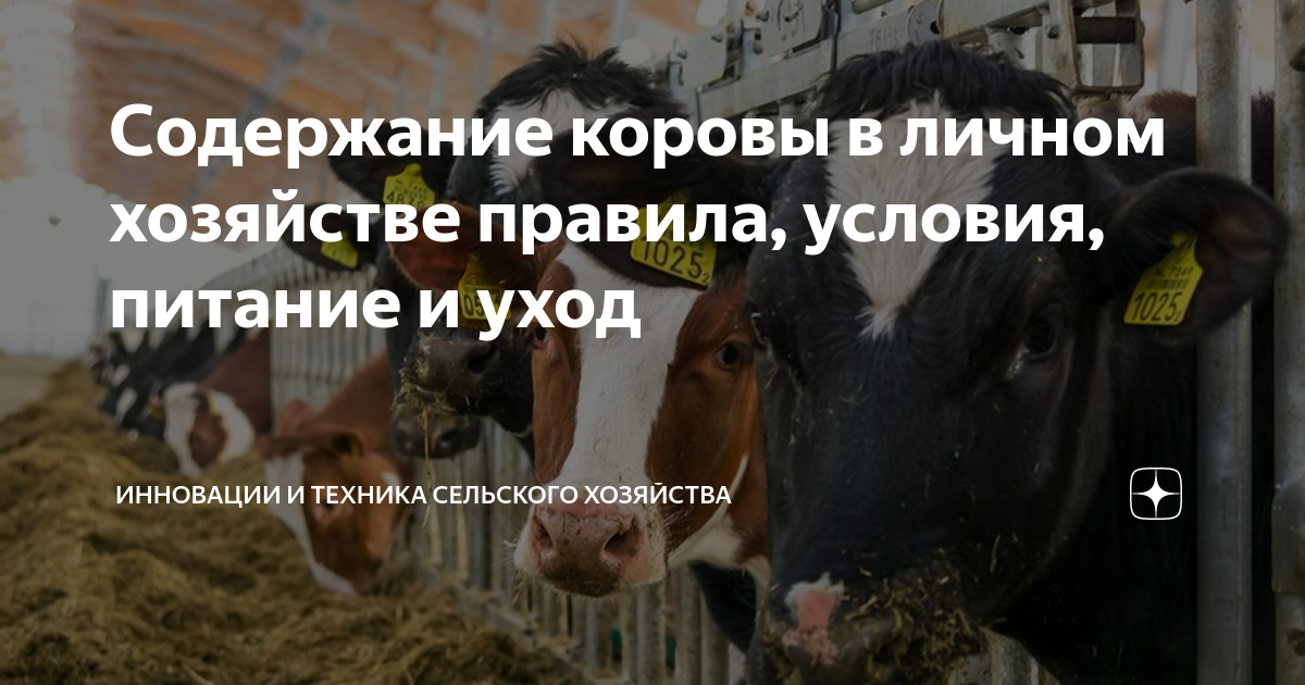 4. Доступ к чистой воде