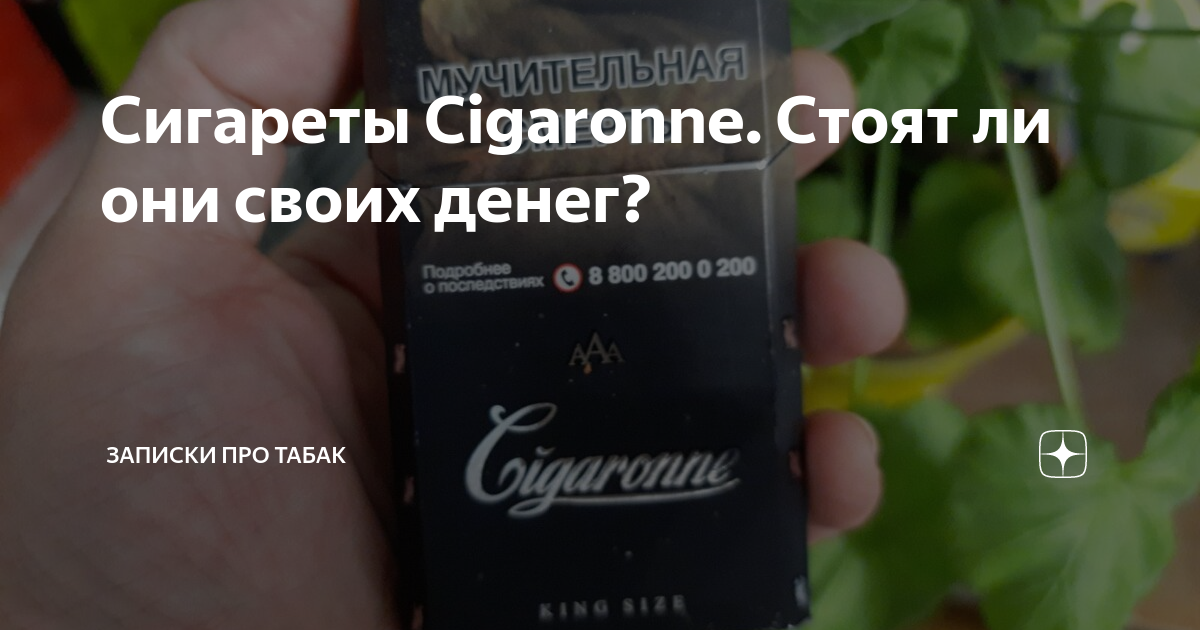 Сигареты Cigaronne. Стоят ли они своих денег? | Записки про табак | Дзен