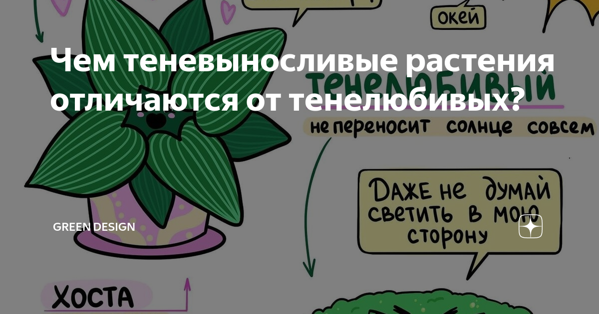 Чем теневыносливые растения отличаются от тенелюбивых? | Ландшафтный ...