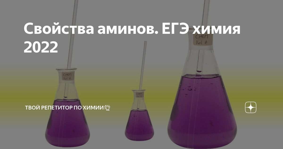 Свойства аминов. ЕГЭ химия 2022 | Твой репетитор по химии👋 | Дзен