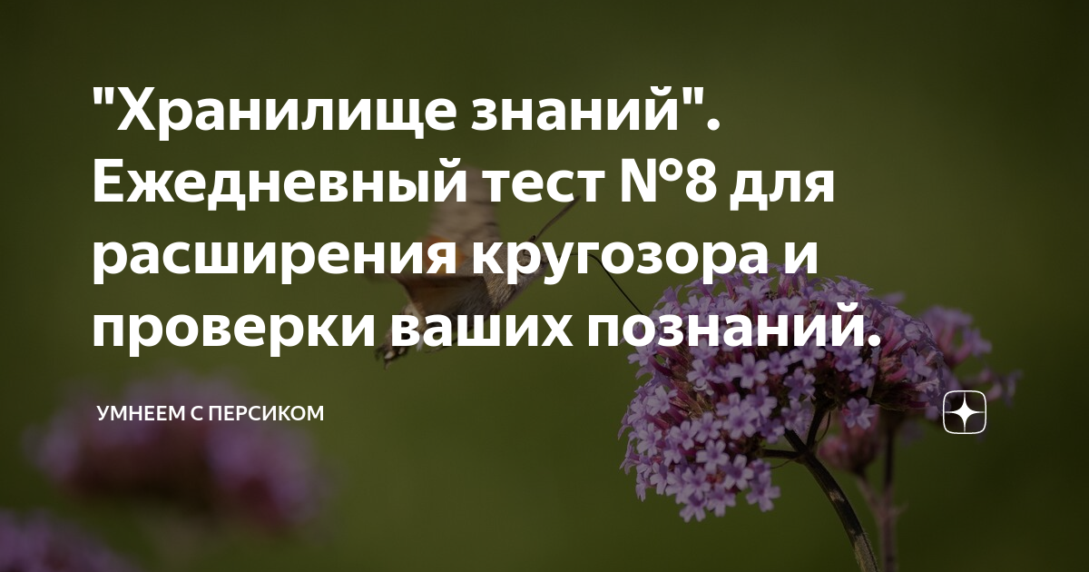 Тесты на эрудицию умнеем с персиком. Умнеем с персиком.