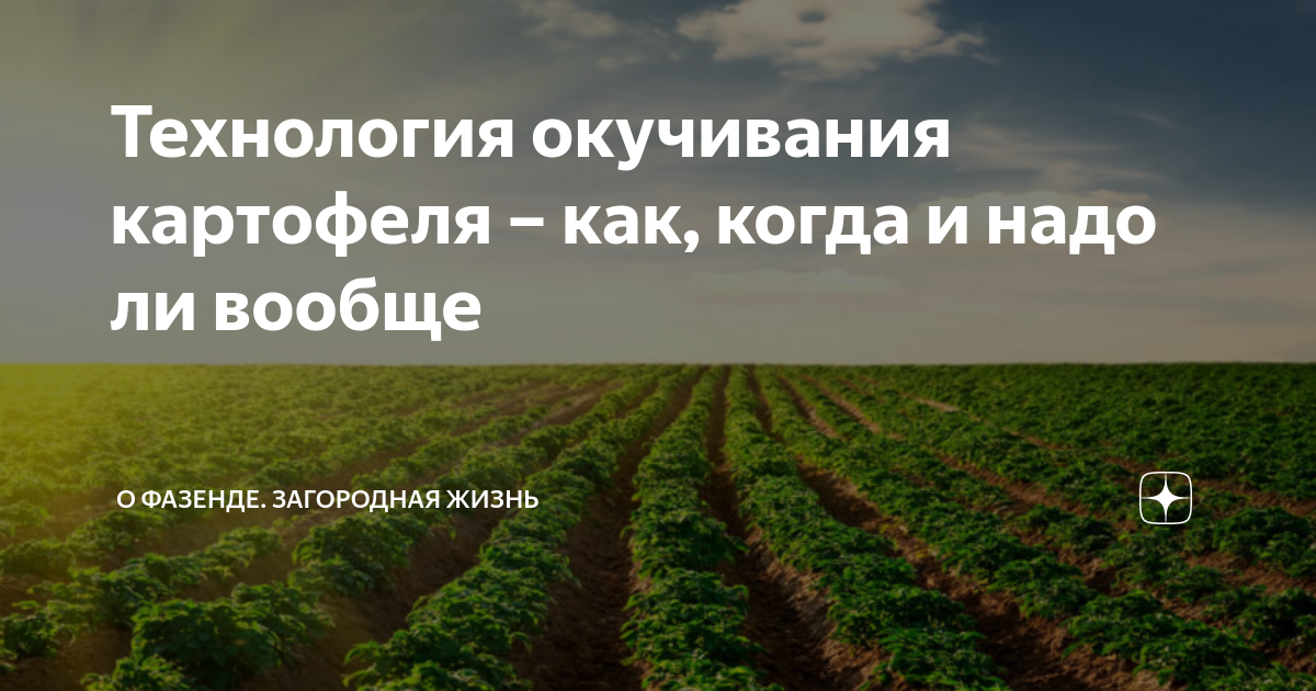 Продам/купить фреза для нарезки гребней, GRIMME, GF - Одесская обл — Agro-Ukraine