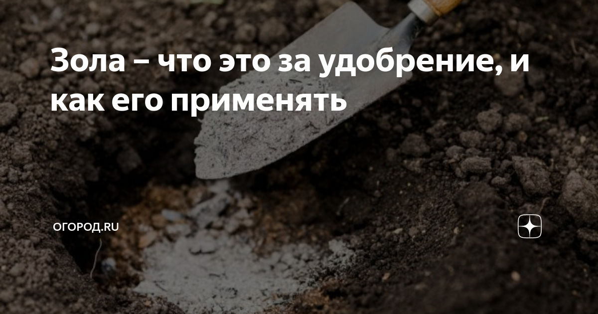 Зола – что это за удобрение, и как его применять | огород.ru | Дзен