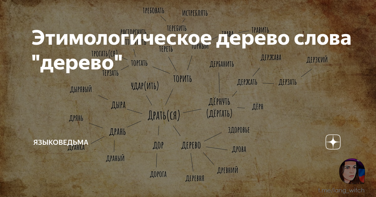 Варианты слов дерево