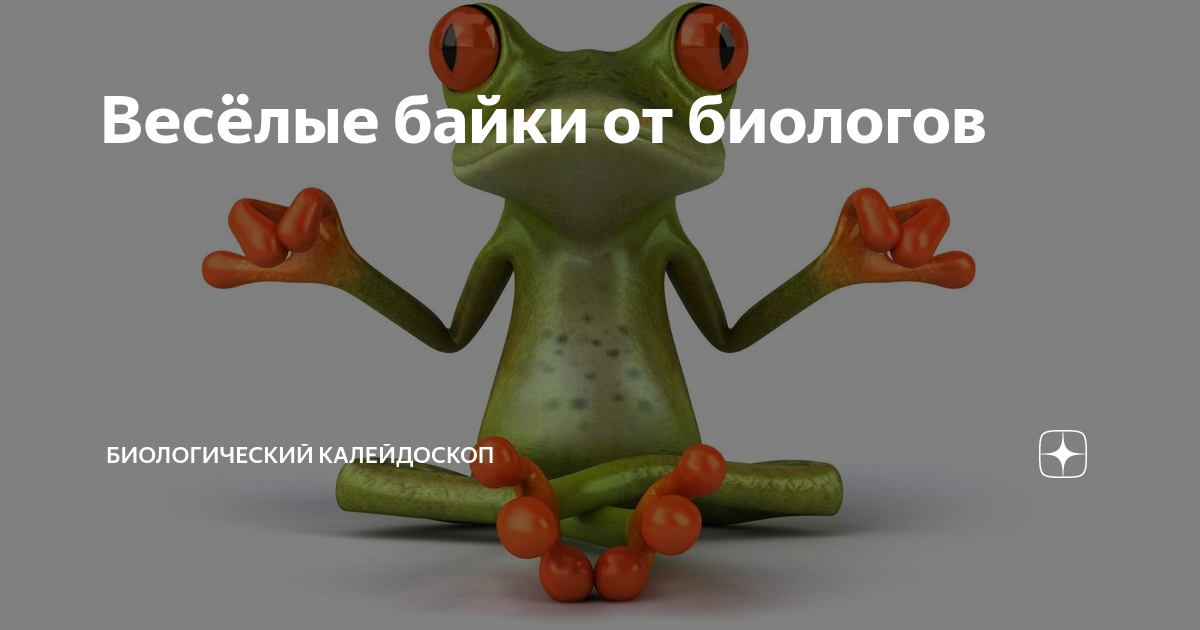 Интригующее предисловие веселой байки 8 букв