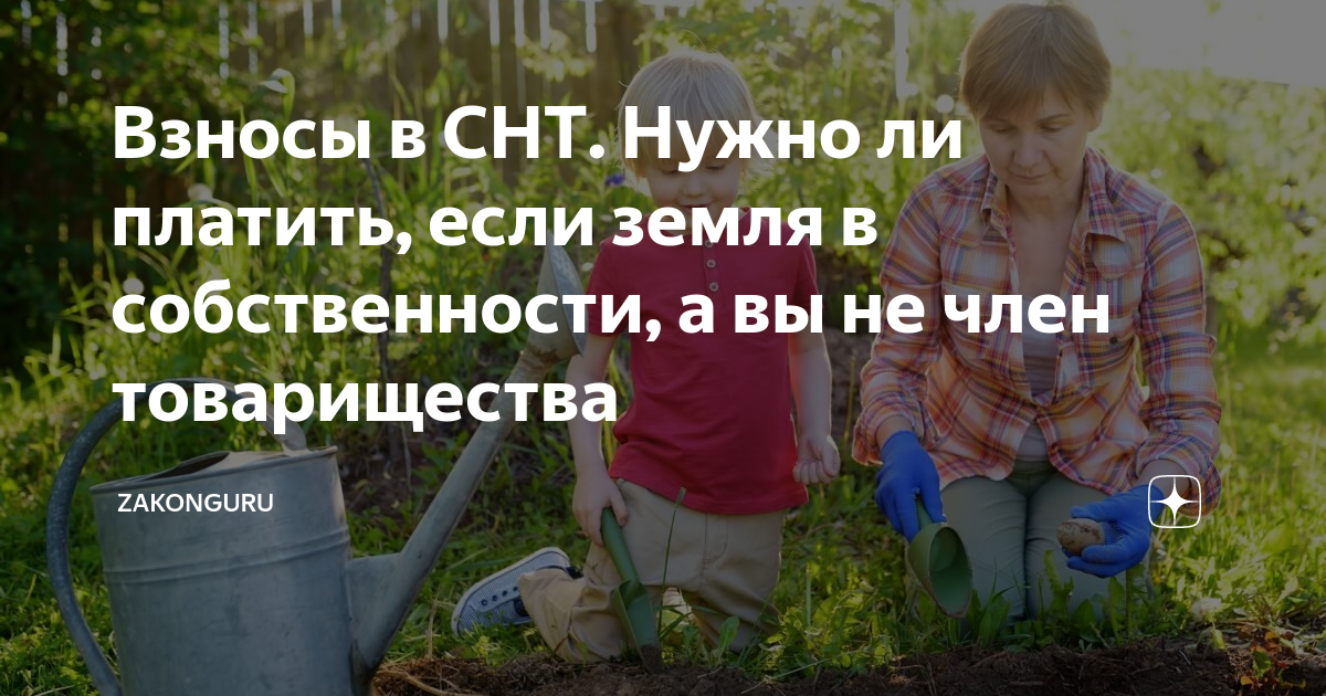 Взносы в СНТ. Нужно ли платить, если земля в собственности, а вы не .