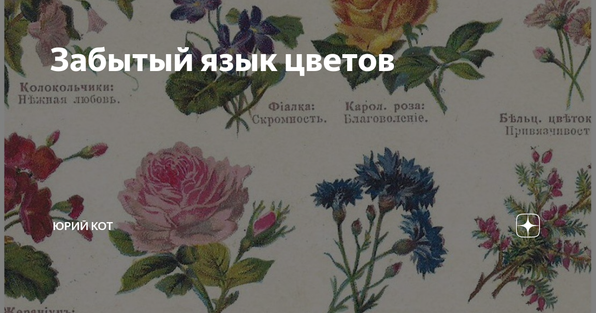 О чем говорят цветы в технике Ханахаки