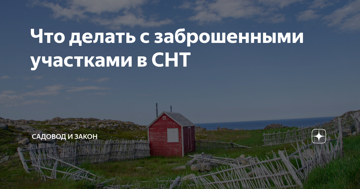 Что делать с заброшенными участками в СНТ | Садовод и Закон | Дзен