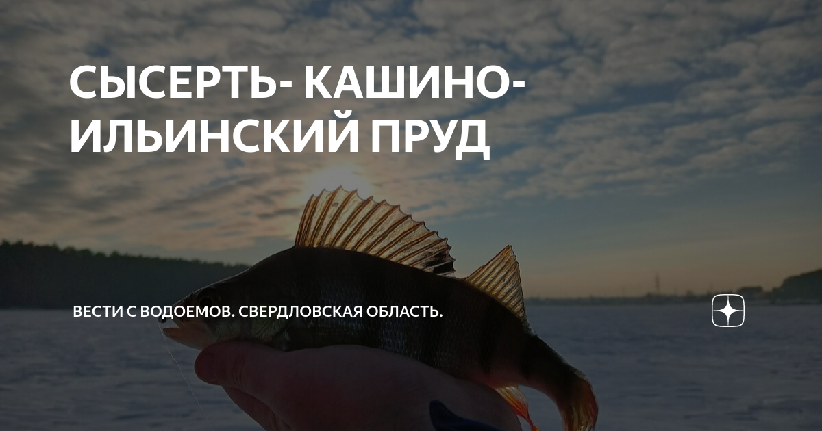 Расписание автобуса 155 сысерть седельниково. Кашино на карте. Луч сысерть. Кашино сысерть расписание. Кашино сысерть расписание.