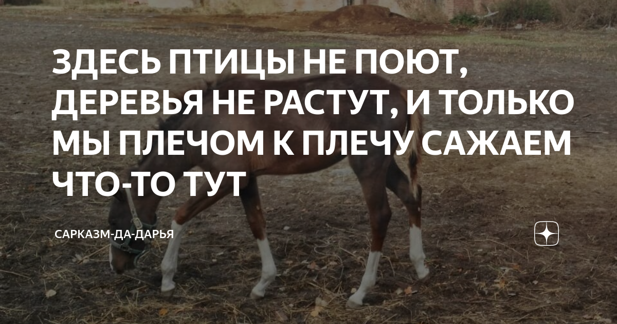 Датчик уровня бог дзен