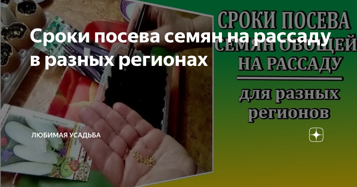Сроки посева семян на рассаду в разных регионах | Любимая усадьба | Дзен
