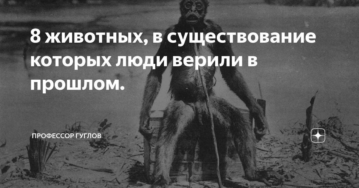 8 животных, в существование которых люди верили в прошлом. | Профессор ...