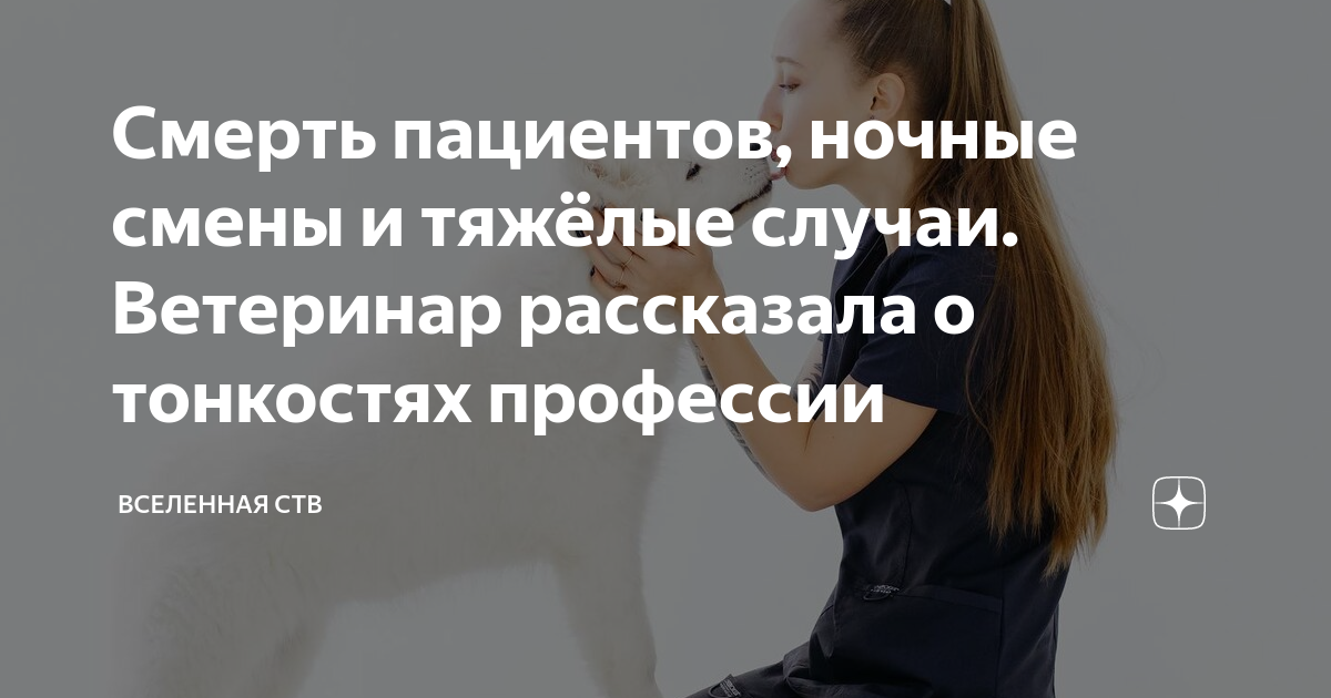 Смерть пациентов, ночные смены и тяжёлые случаи. Ветеринар рассказала о ...