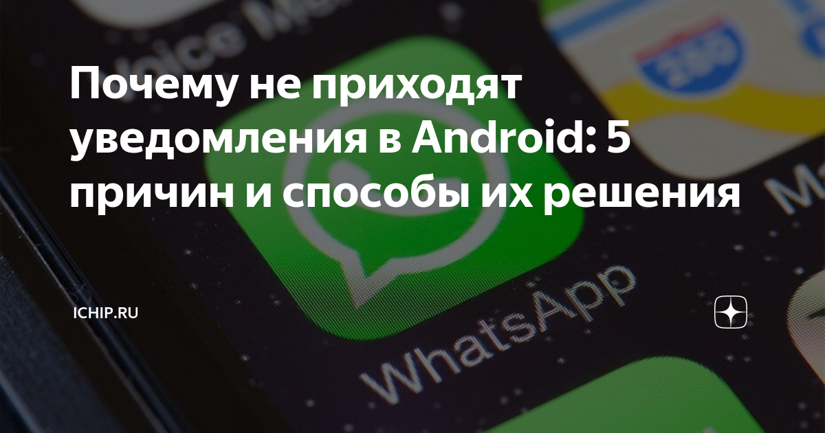 Уведомления не отображаются или приходят без звука | Справочный центр WhatsApp