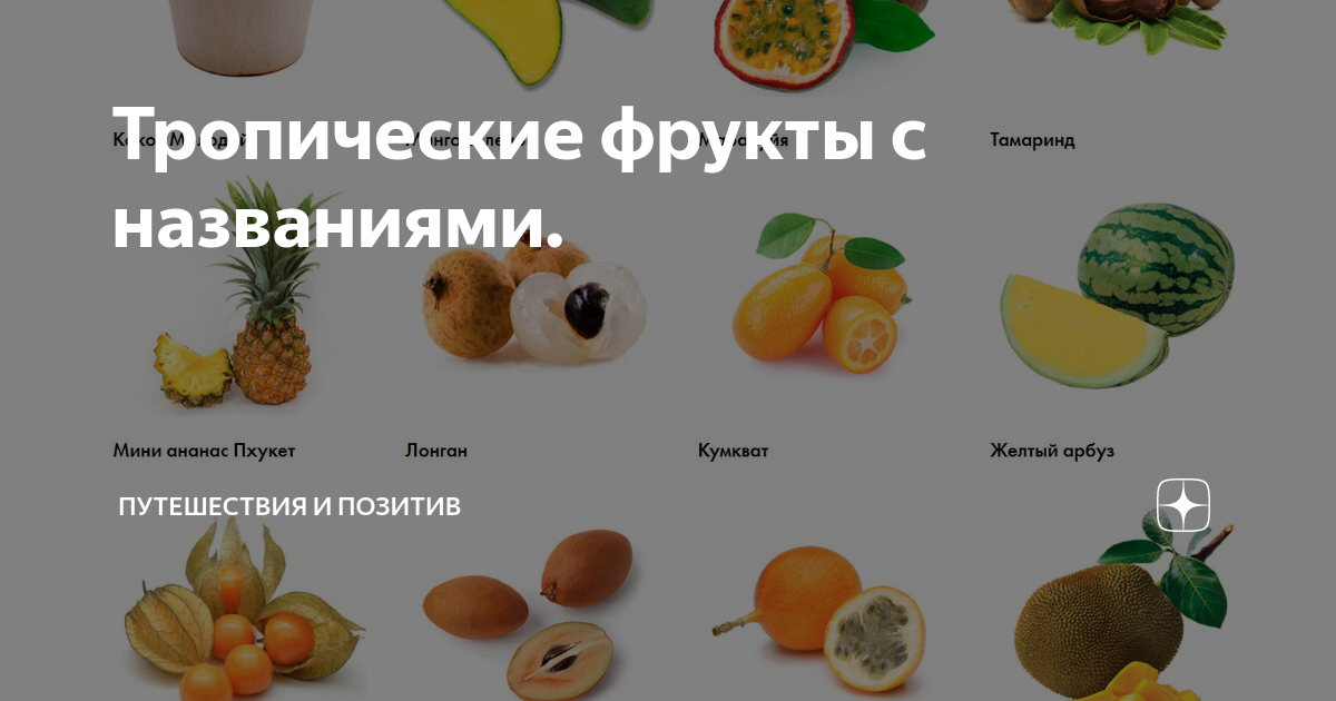 Тропические фрукты виды
