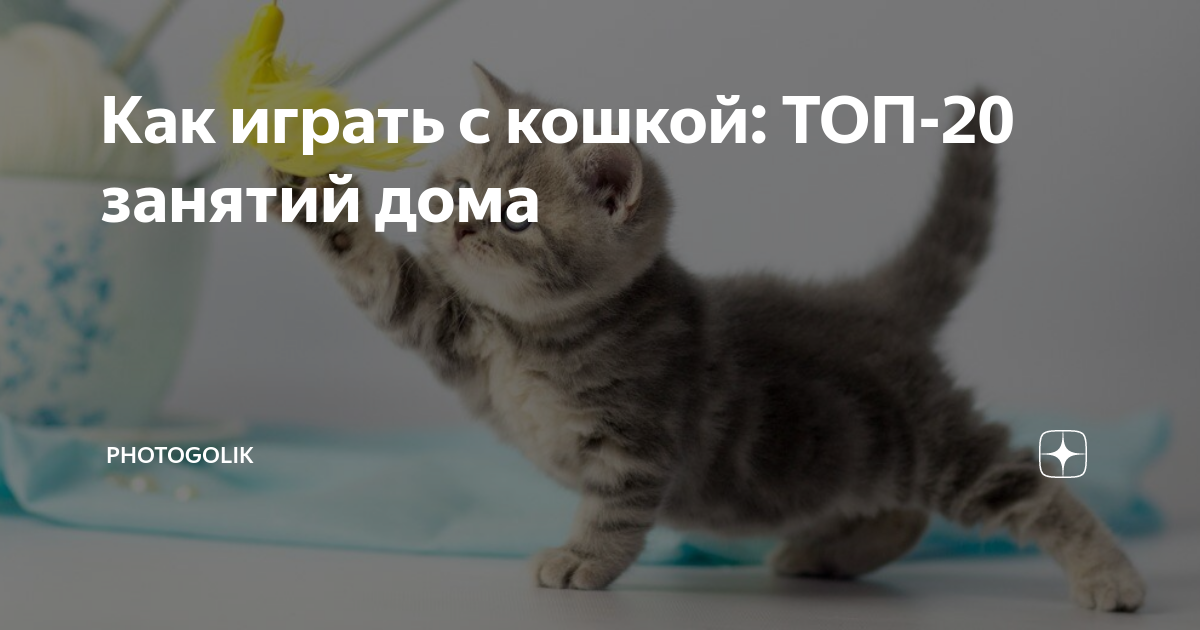 Котёнок Усатик, или Отважное сердце