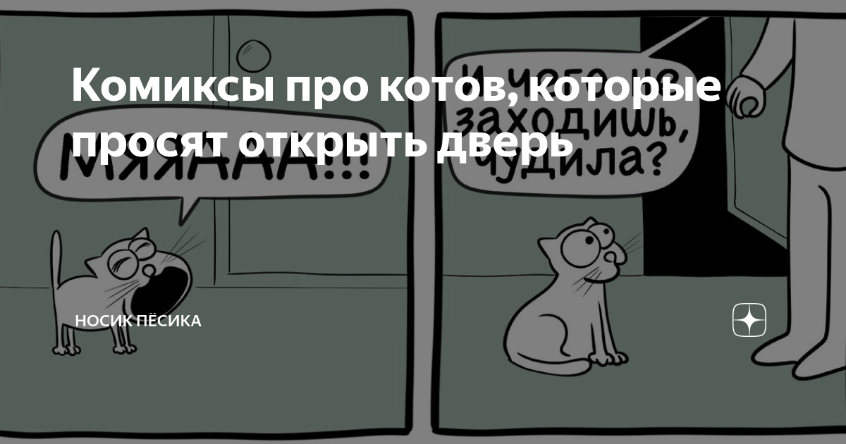 Комиксы про котов, которые просят открыть дверь | Носик Пёсика | Дзен