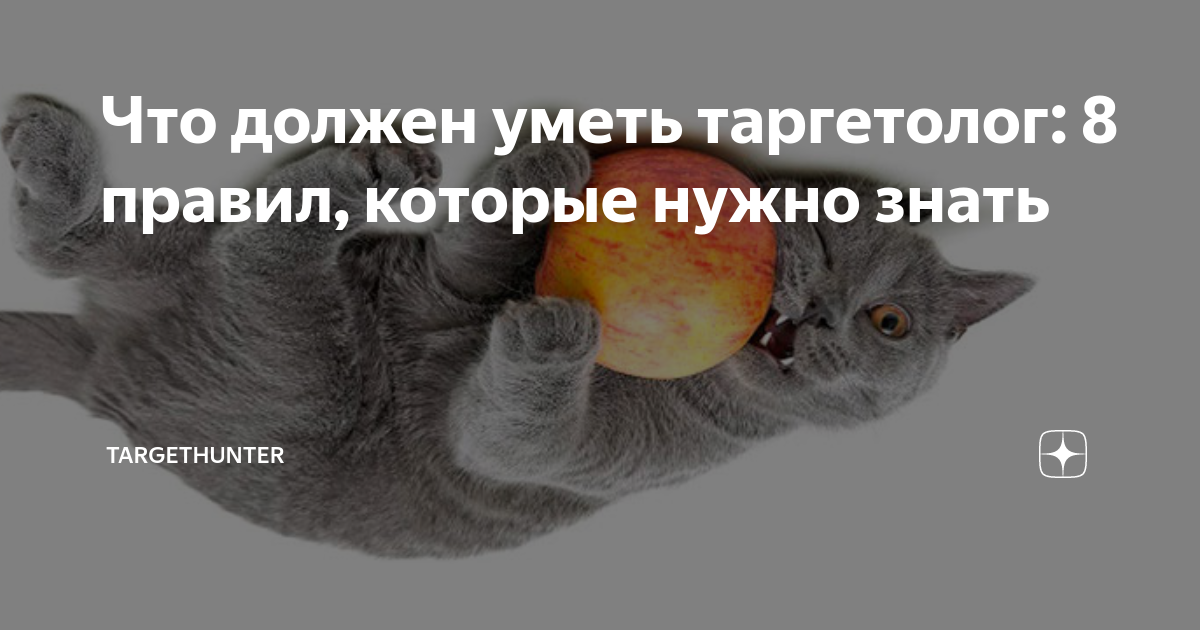Что должен уметь таргетолог: 8 правил, которые нужно знать ...
