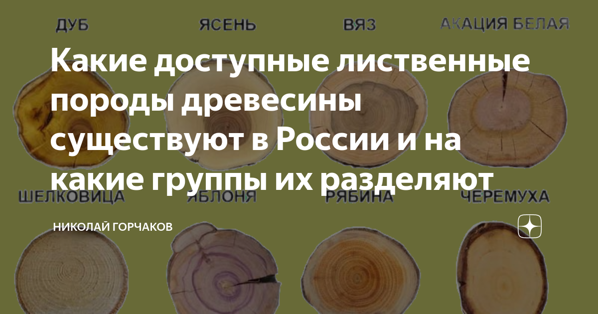 Какие виды дерева существуют. Какие виды дерева существуют