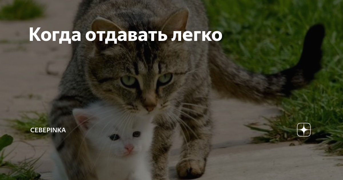 Отдать легко