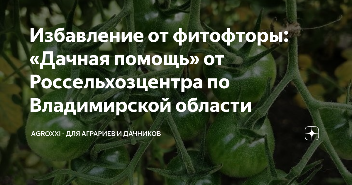 дачная помощь