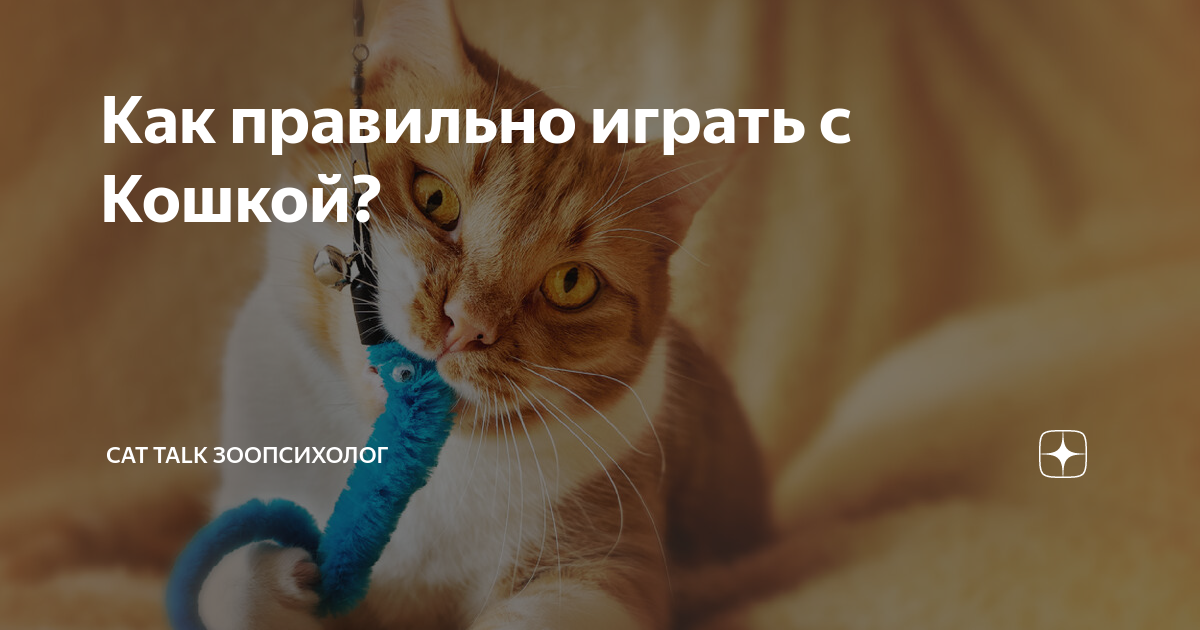 как правильно играть в вудоку