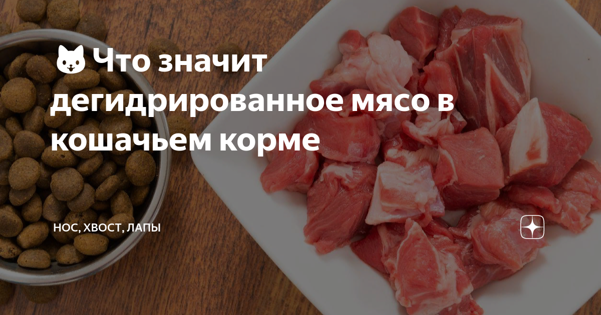 🐱Что значит дегидрированное мясо в кошачьем корме | Нос, хвост, лапы | Дзен