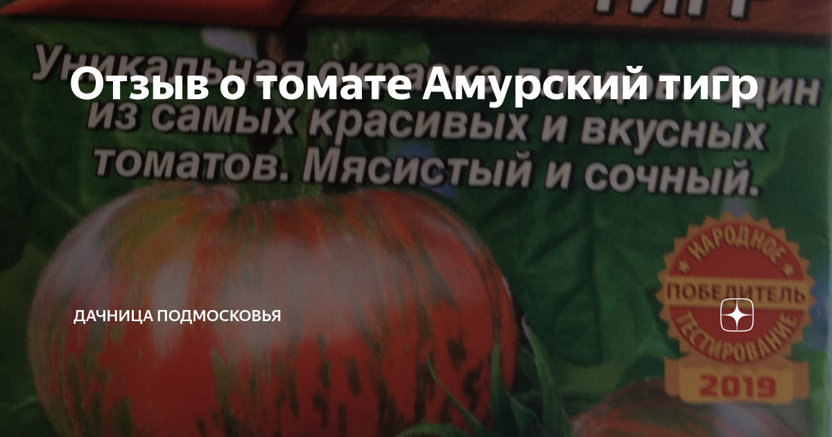Отзыв о томате Амурский тигр | Дачница Подмосковья | Дзен