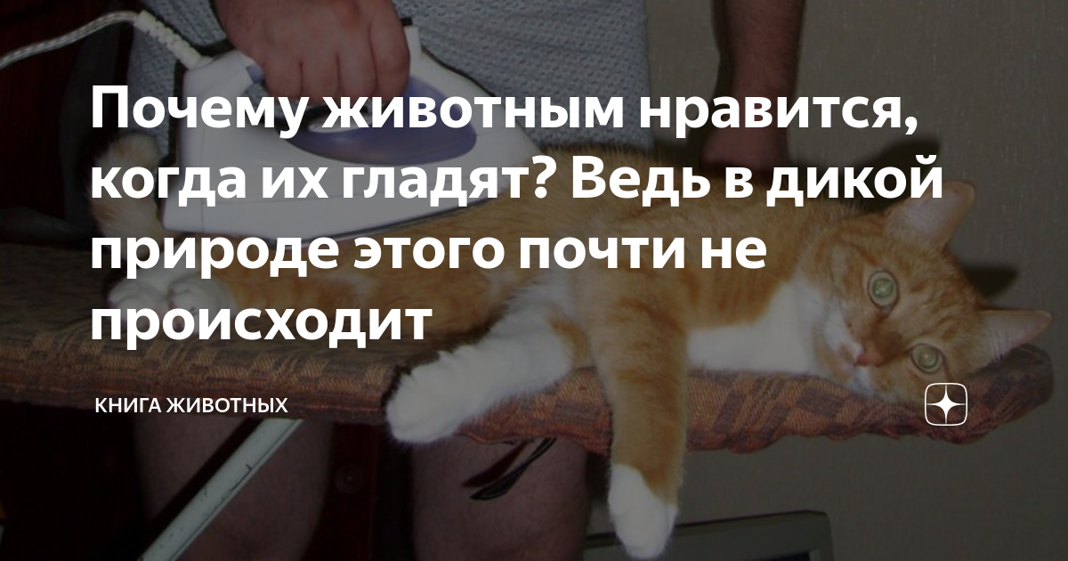 живот надо гладить по часовой стрелке или против