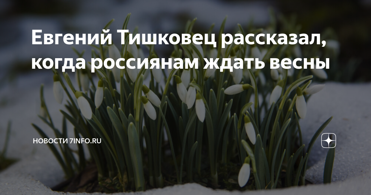 москва весной. 20 дней до весны. я жду весну. когда ждать весну 2024. теплая погода.