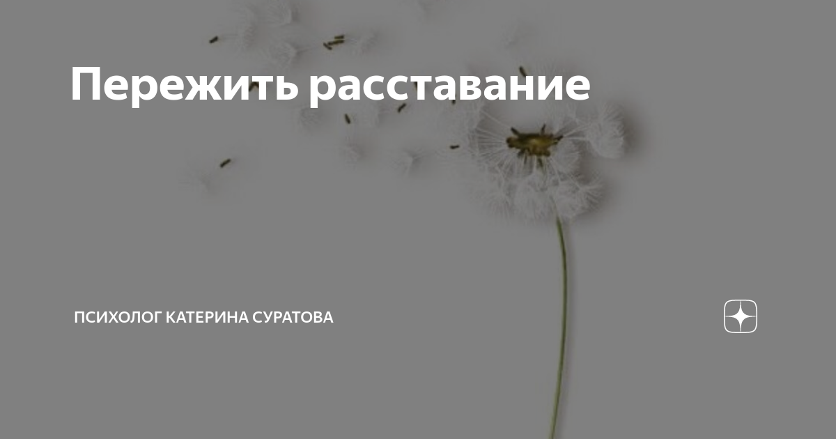 Психолог по расставанию. Психолог Катерина Суратова. Душа обязана трудиться картинки. Опыты на пчелах наука.