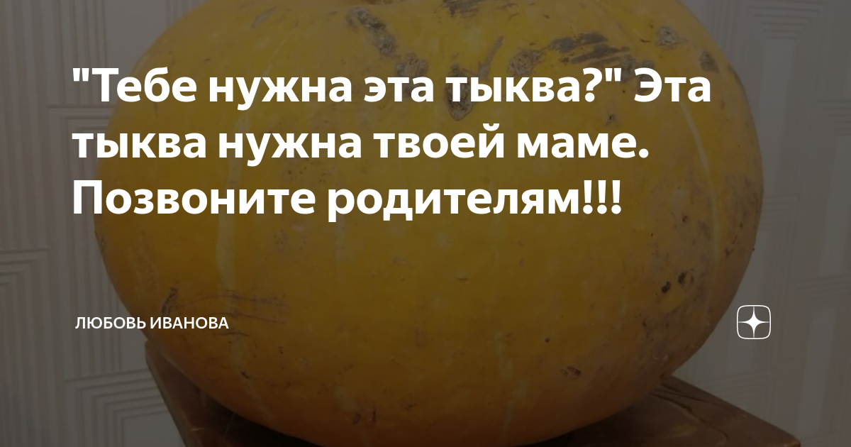 "Тебе нужна эта тыква?" Эта тыква нужна твоей маме. Позвоните родителям ...