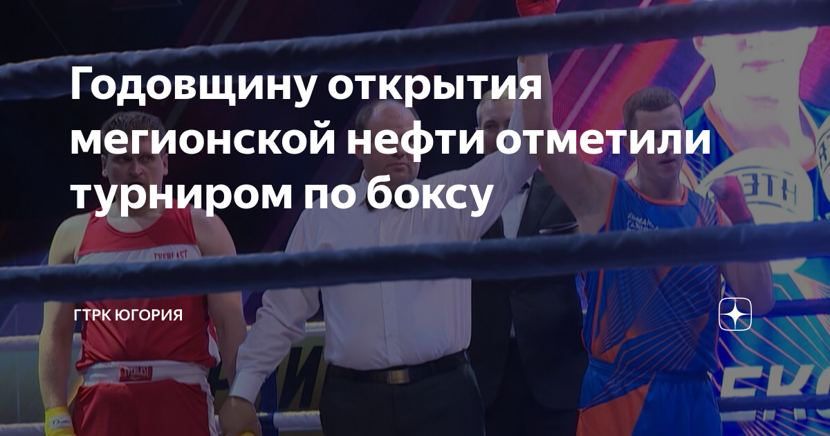 День боксера