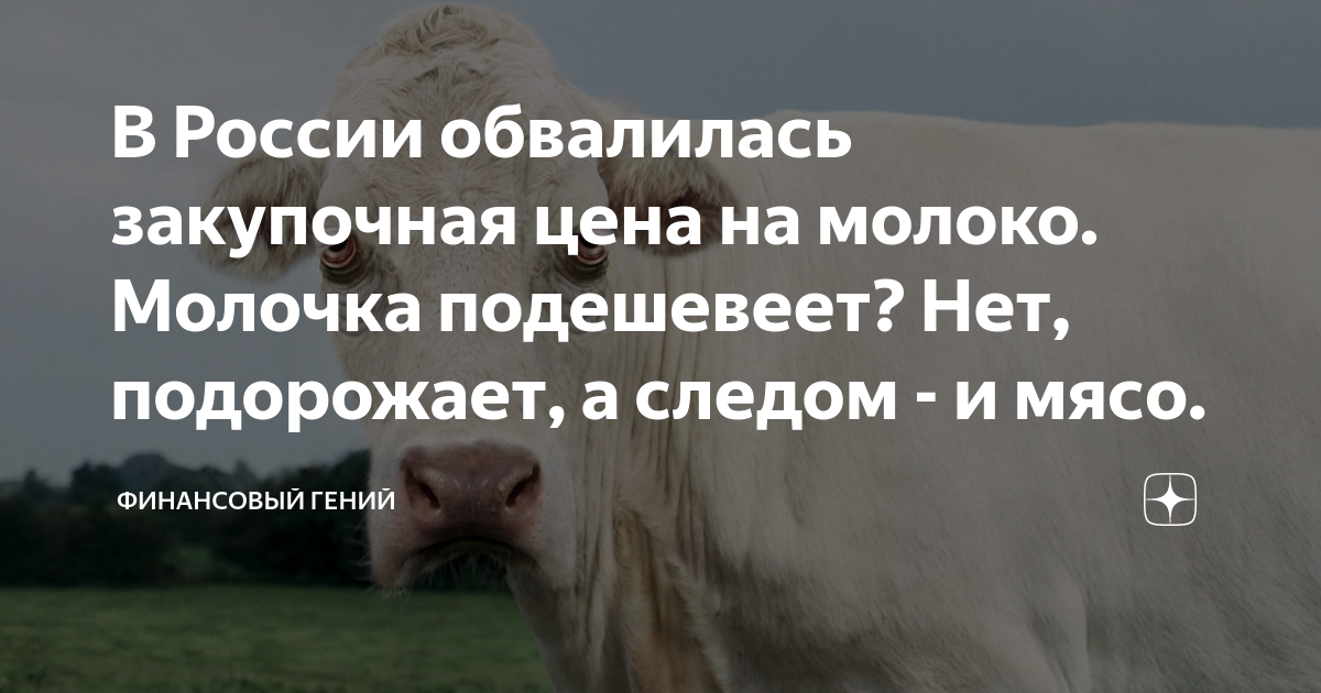 В России обвалилась закупочная цена на молоко. Молочка подешевеет? Нет ...