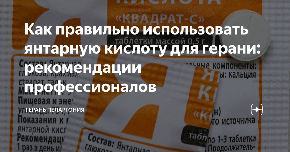 как использовать янтарную пудру для лица