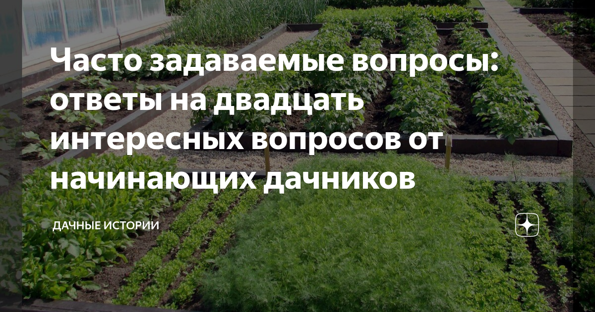 Часто задаваемые вопросы: ответы на двадцать интересных вопросов от ...