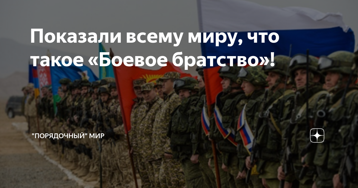 Показали всему миру, что такое «Боевое братство»! | "Порядочный" мир | Дзен