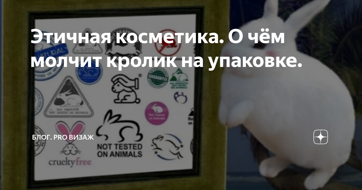 Красота без жестокости: косметика которая не трестируется на животных