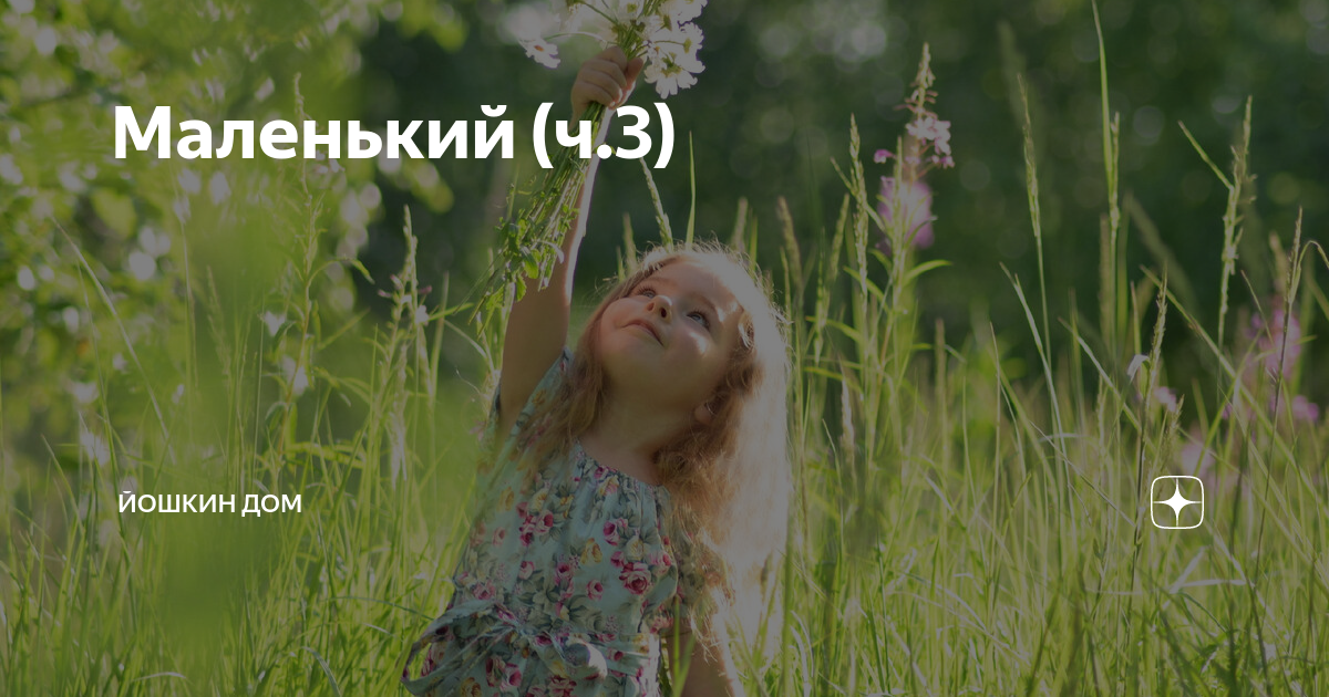 Возвращение домой рассказ на дзен малинка. Возвращение домой рассказ на дзен малинка. Возвращение домой рассказ на дзен малинка. Йошкин дом на дзене. Возвращение домой рассказ на дзен малинка.