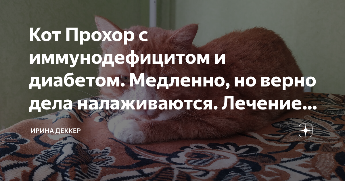 Дела наладились