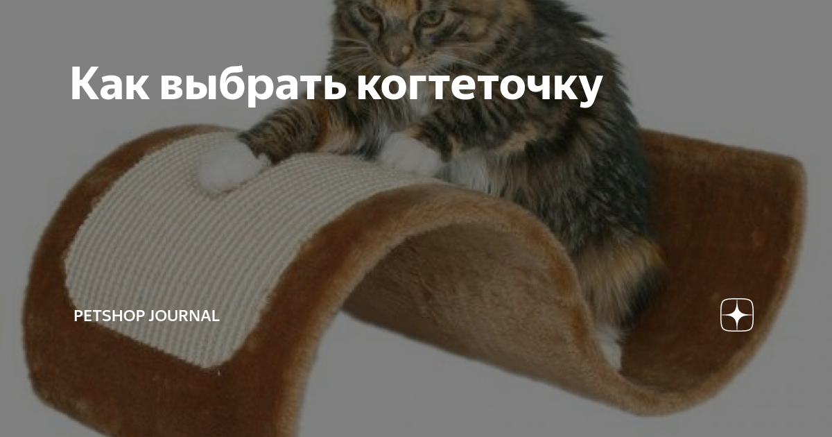 Как выбрать когтеточку | Petshop Journal | Дзен