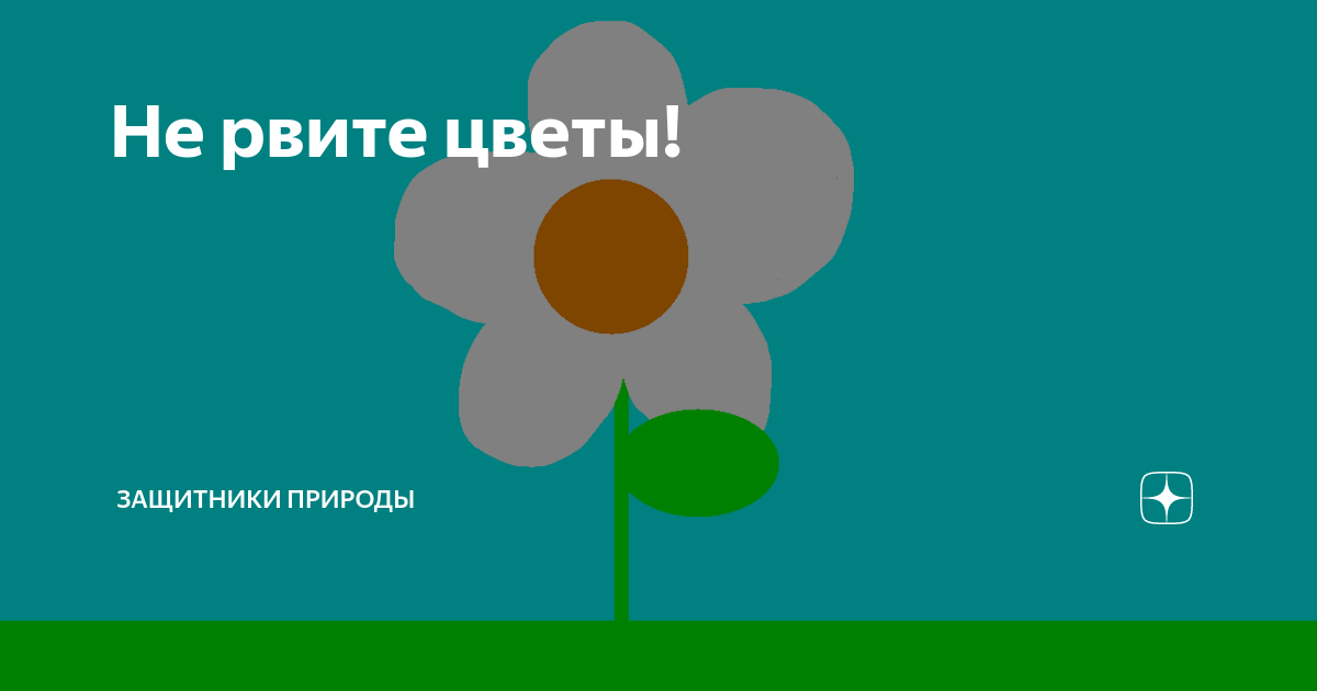 Жалеть себя не обязательно а вот беречь необходимо картинка