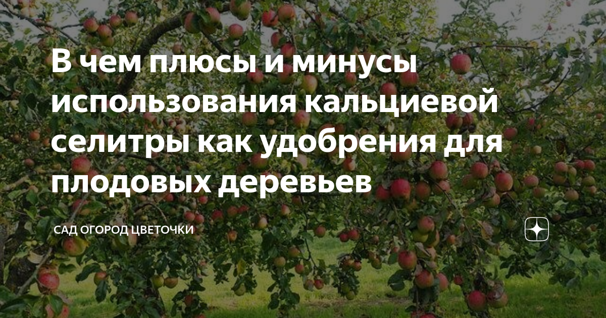 Кальциевая селитра картинка