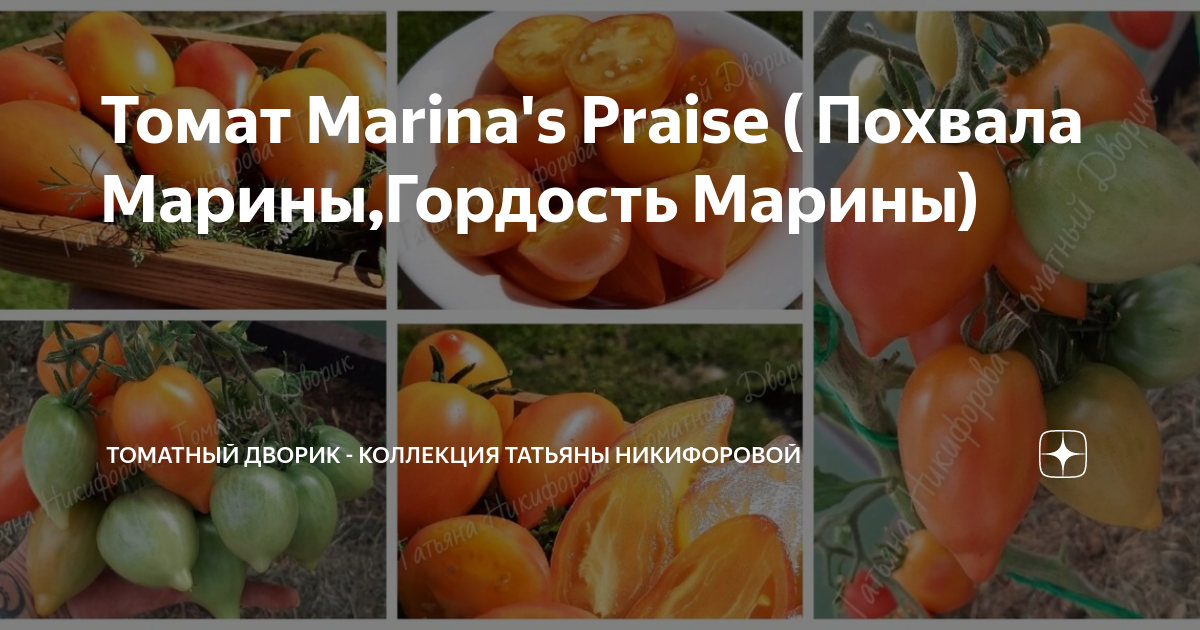 Томат Marina's Praise ( Похвала Марины,Гордость Марины) | ТОМАТНЫЙ ...