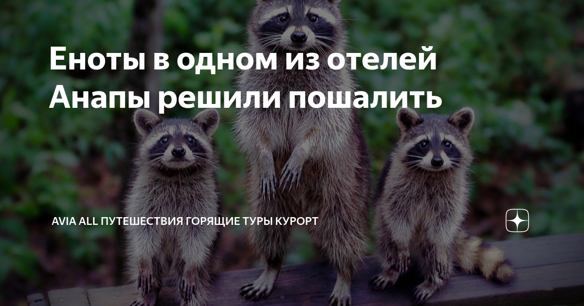 Ребенок решил пошалить со старым телевизором: в Волжском госпитализировали 8-летнего жителя