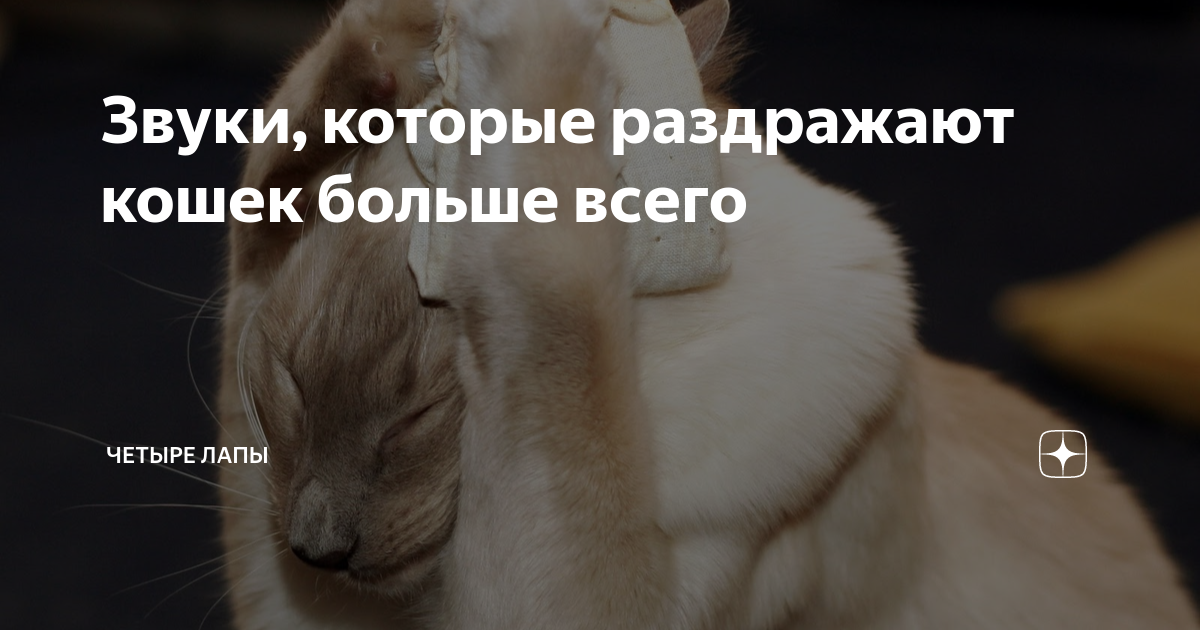 Звук раздражающий кошек