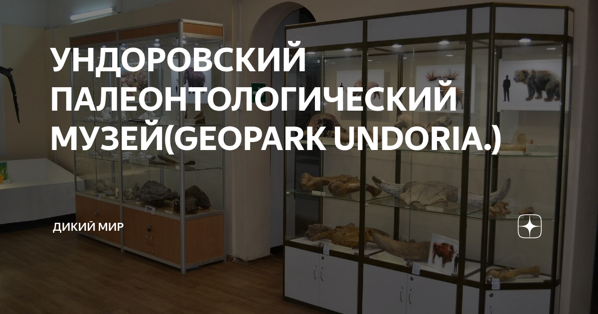 ундоровский палеонтологический музей отзывы