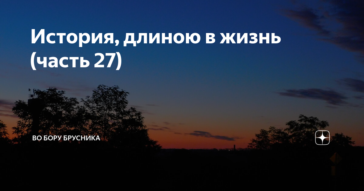 Во бору брусника дзен рассказы последний. Во Бору брусника дзен.